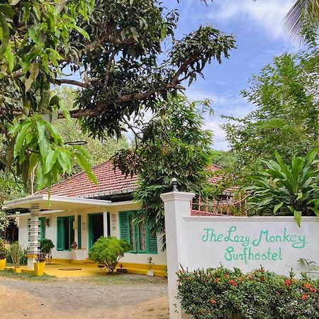 Lazy Monkey Surfhostel - Sri Lanka Dikwella Exteriér fotografie