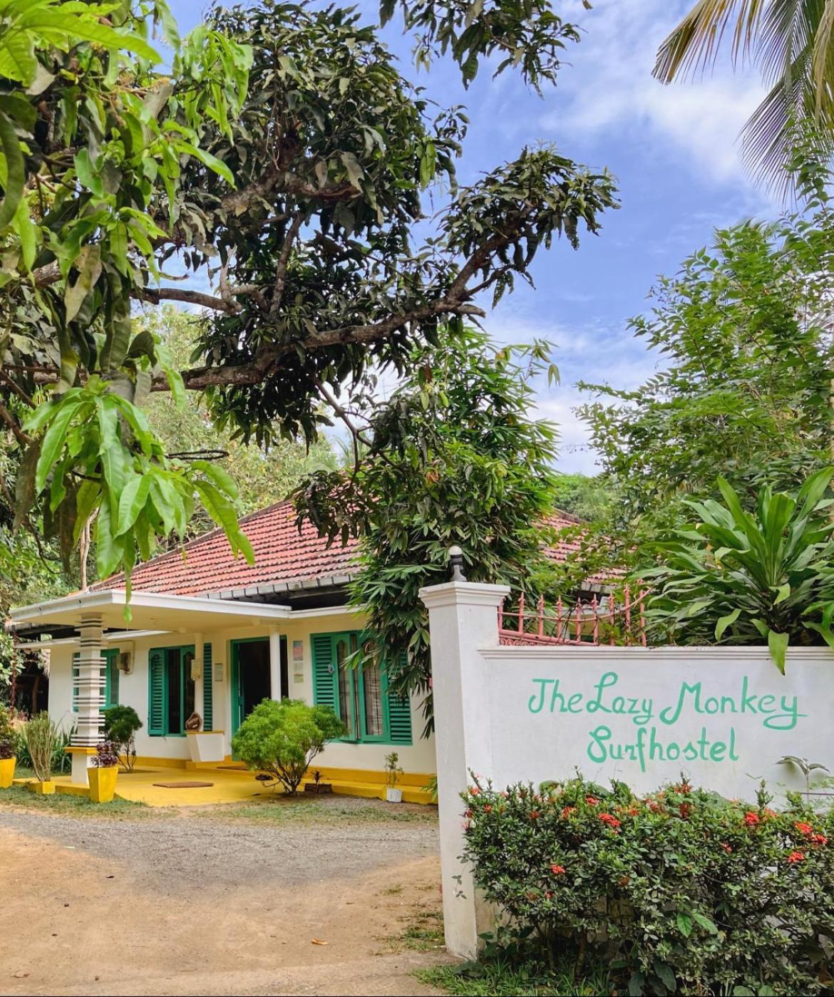 Lazy Monkey Surfhostel - Sri Lanka Dikwella Exteriér fotografie