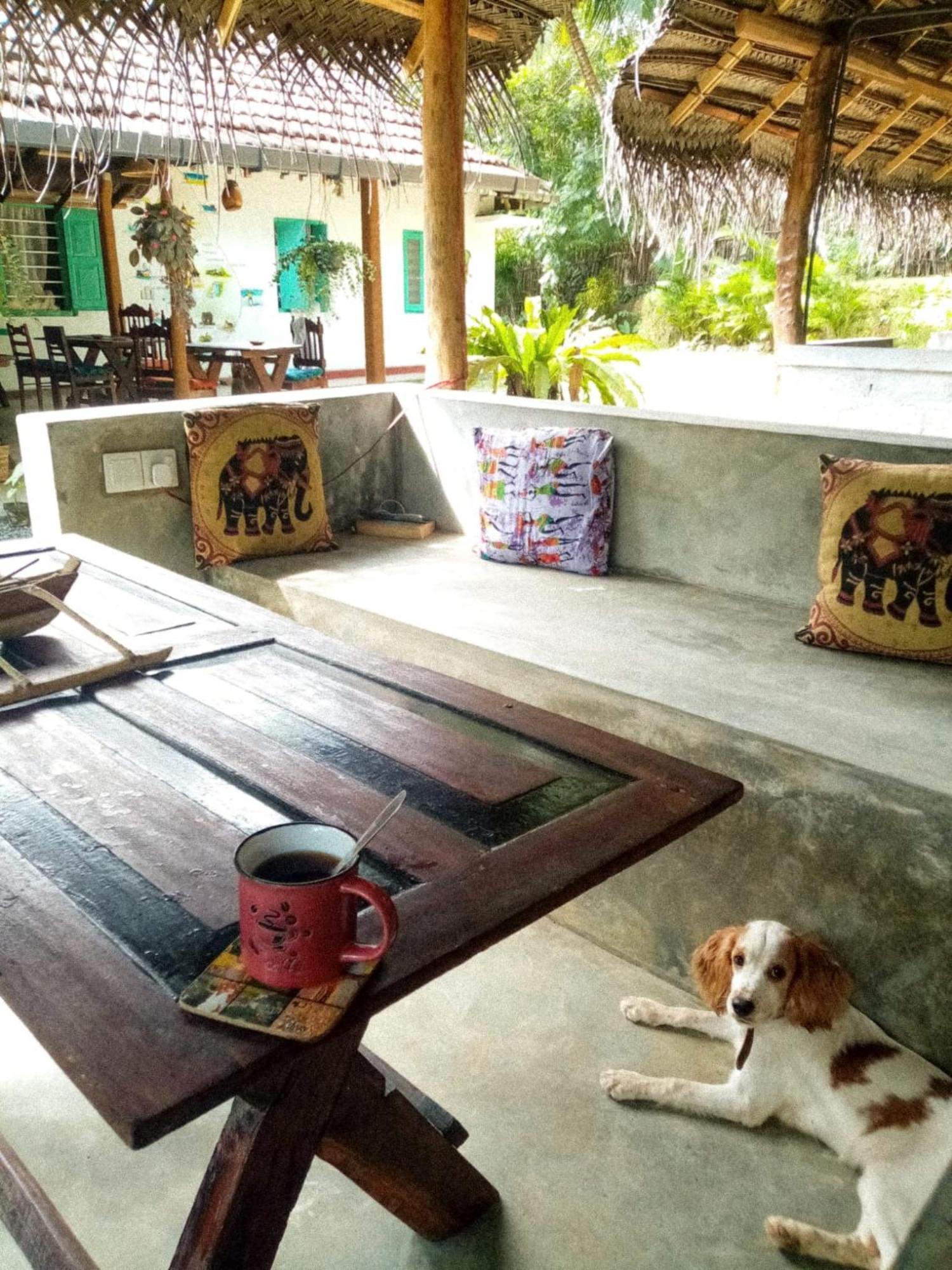 Lazy Monkey Surfhostel - Sri Lanka Dikwella Exteriér fotografie