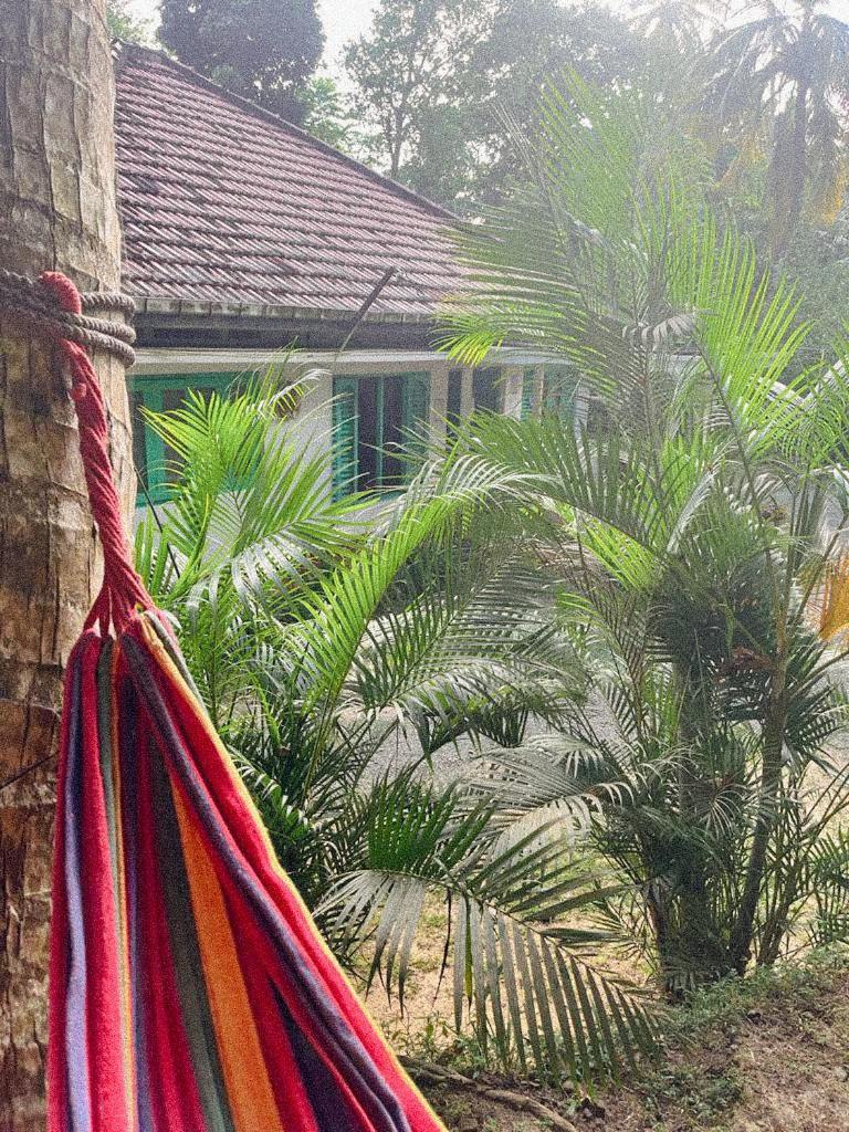 Lazy Monkey Surfhostel - Sri Lanka Dikwella Exteriér fotografie