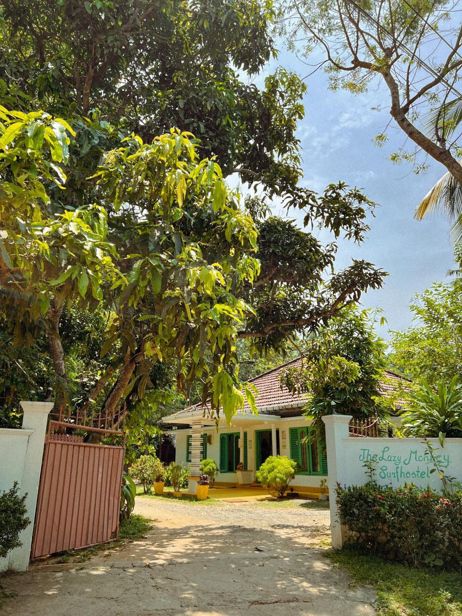 Lazy Monkey Surfhostel - Sri Lanka Dikwella Exteriér fotografie